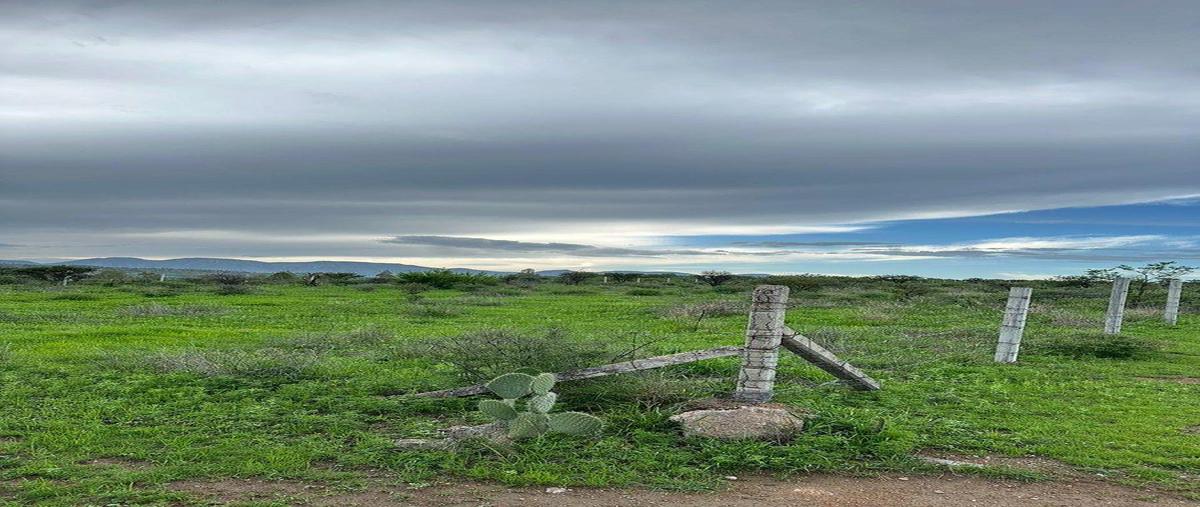 Foto de terreno habitacional en venta en  , general ignacio zaragoza (venadero), jesús maría, aguascalientes, 0 No. 03