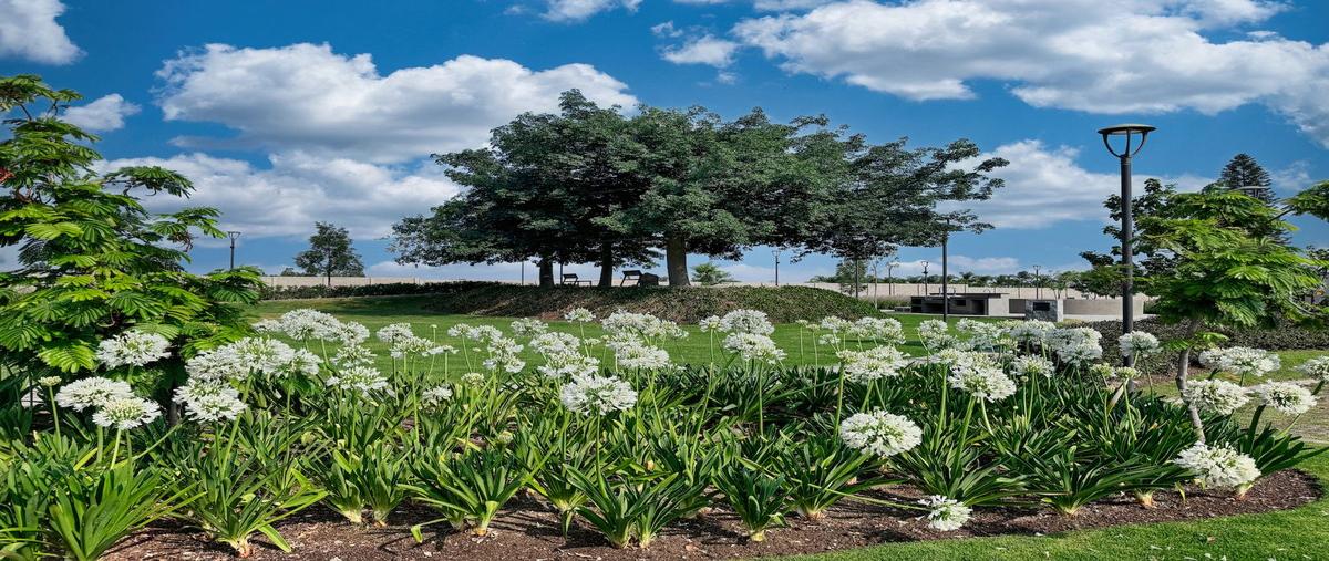 Foto de terreno habitacional en venta en general ramón corona , la mojonera, zapopan, jalisco, 28876381 No. 04