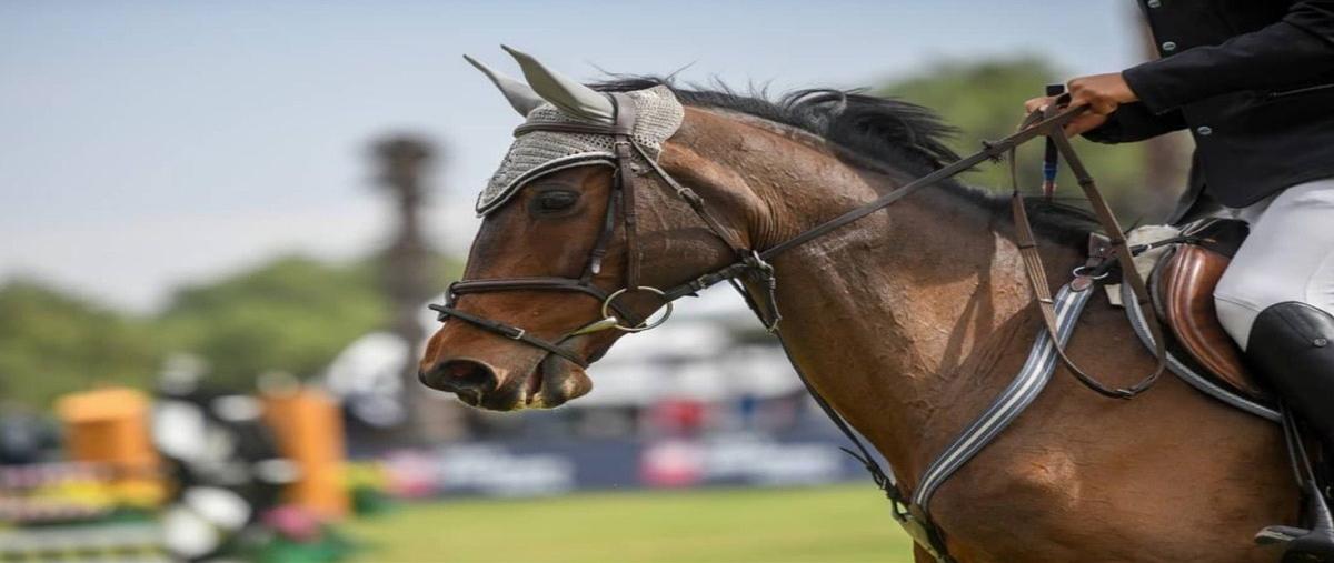 Foto de terreno habitacional en geranios , rancho san juan, atizapán de zaragoza, méxico, 27274929 foto 04 Foto de terreno habitacional en venta en geranios , rancho san juan, atizapán de zaragoza, méxico, 27274929 No. 04