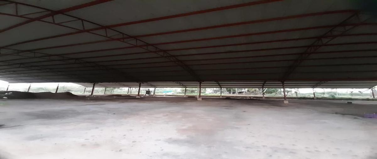 Foto de terreno habitacional en venta en gg3p+v69 , llano grande, santiago llano grande, oaxaca, 0 No. 04