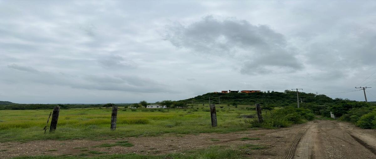 Foto de rancho en venta en  , gil de leyva, montemorelos, nuevo león, 28399558 No. 05
