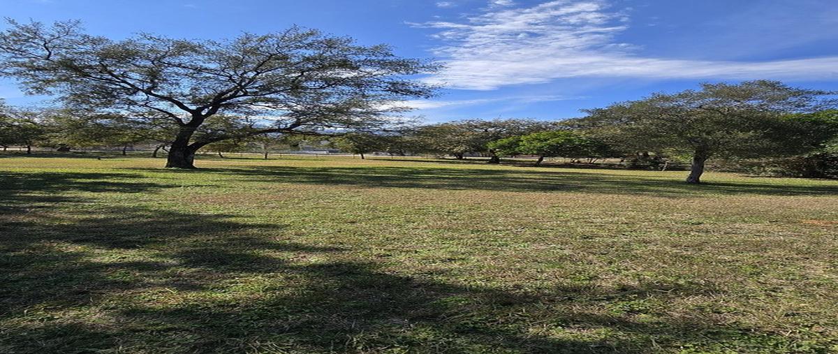 Foto de terreno habitacional en venta en  , gil de leyva, montemorelos, nuevo león, 0 No. 04