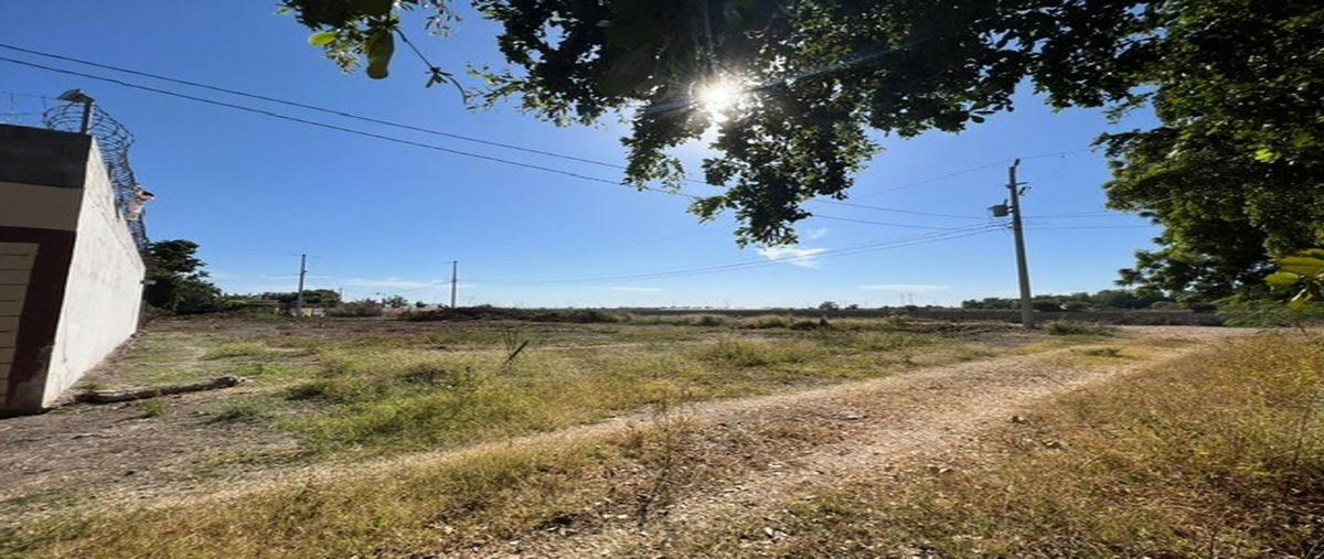 Foto de terreno habitacional en venta en girasoles , laguna de san pedro, navolato, sinaloa, 25988412 No. 03