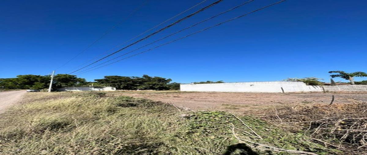 Foto de terreno habitacional en venta en girasoles , laguna de san pedro, navolato, sinaloa, 25988412 No. 05