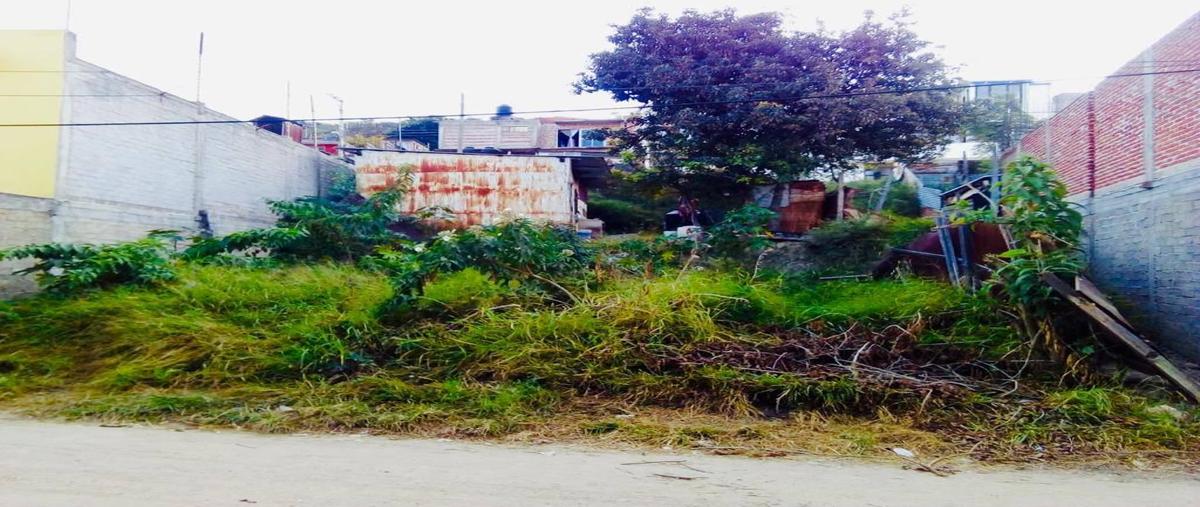 Foto de terreno habitacional en venta en  , gloria antonio cruz, oaxaca de juárez, oaxaca, 0 No. 03