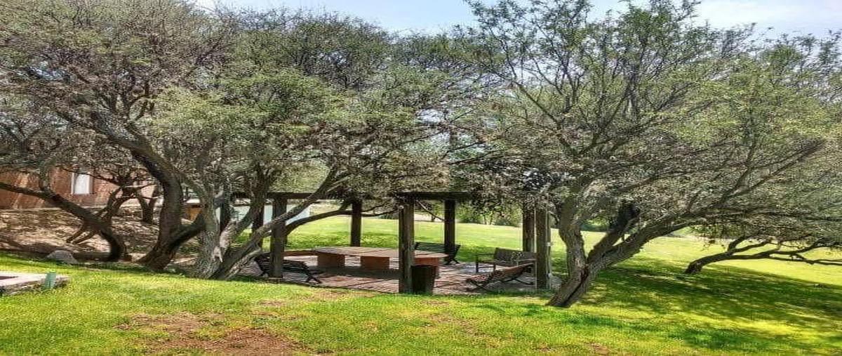 Foto de terreno habitacional en venta en gm55+vwla noriaqro. , el peral, huimilpan, querétaro, 29548190 No. 03