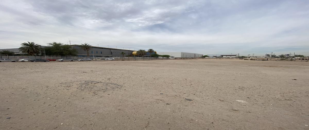 Foto de terreno industrial en renta en gobernador braulio maldonado , francisco i. madero, mexicali, baja california, 29849316 No. 05
