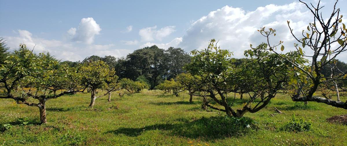 Foto de terreno habitacional en venta en  , godínez o tehuastepec, valle de bravo, méxico, 18493620 No. 03