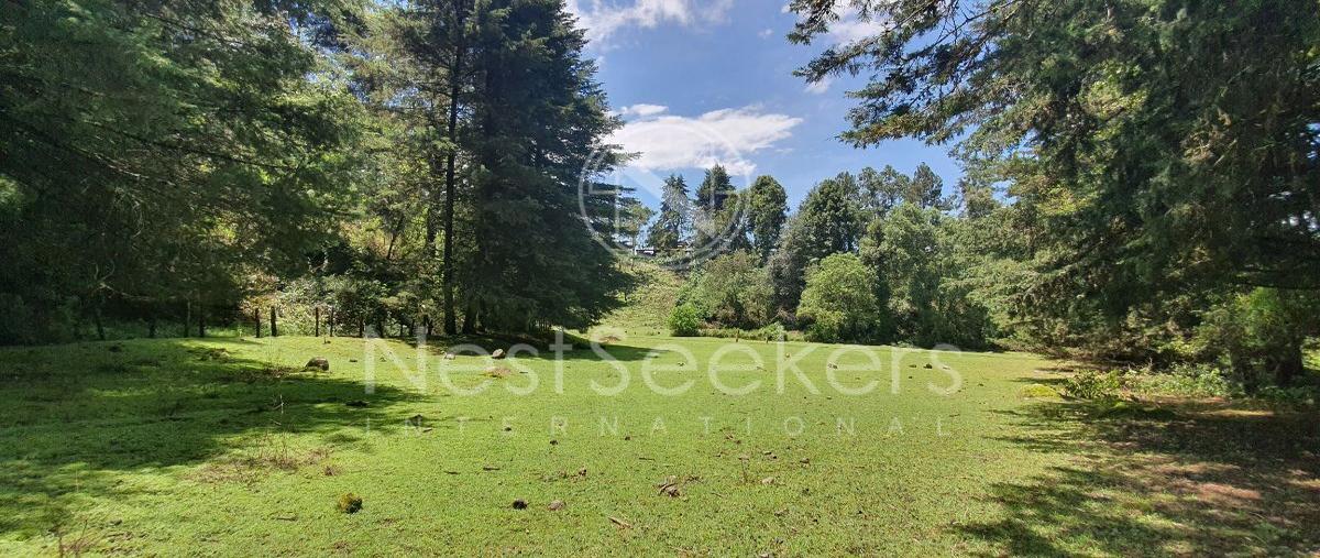 Foto de terreno habitacional en venta en  , godínez o tehuastepec, valle de bravo, méxico, 27737183 No. 03