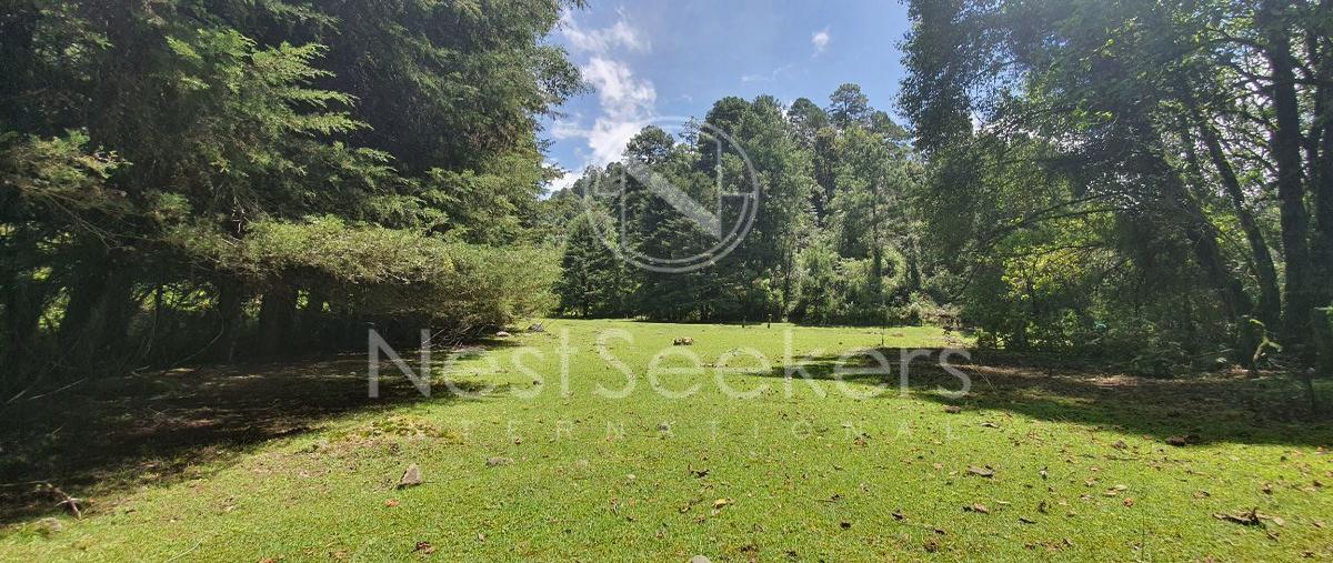 Foto de terreno habitacional en venta en  , godínez o tehuastepec, valle de bravo, méxico, 27737183 No. 04