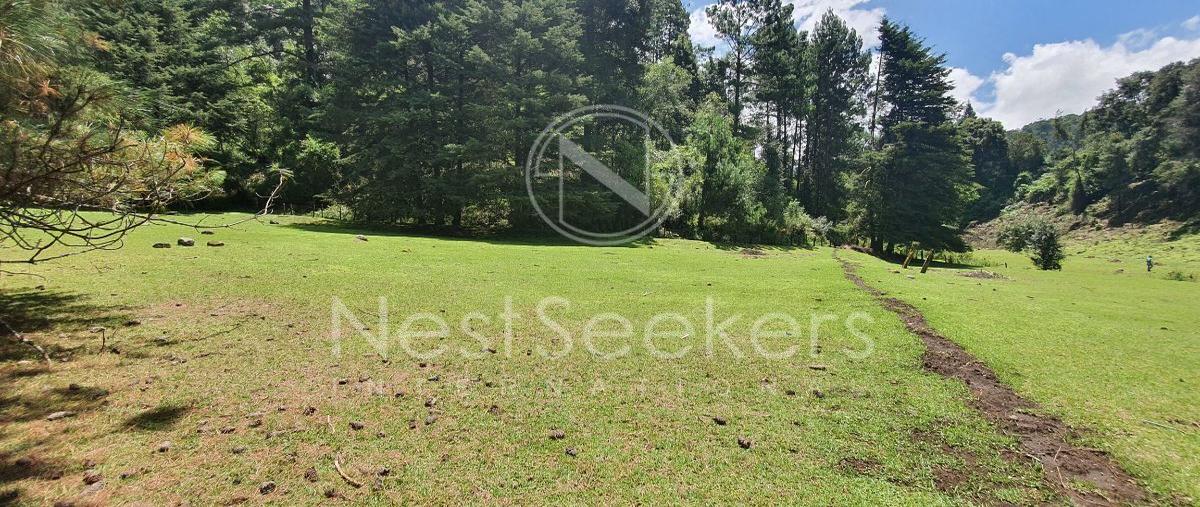 Foto de terreno habitacional en venta en  , godínez o tehuastepec, valle de bravo, méxico, 27737183 No. 05