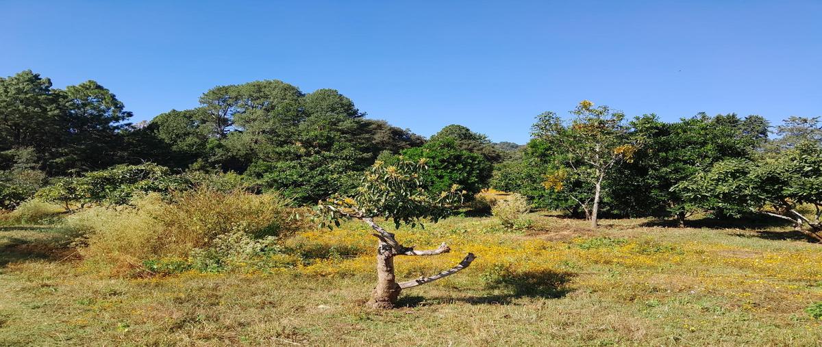 Foto de terreno habitacional en venta en  , godínez o tehuastepec, valle de bravo, méxico, 29525982 No. 03