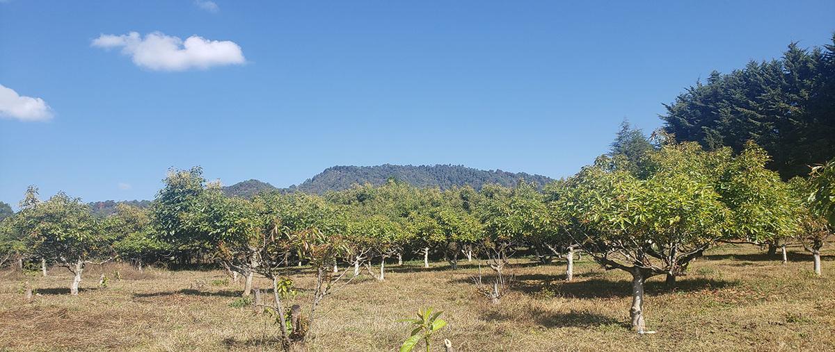 Foto de terreno habitacional en venta en  , godínez o tehuastepec, valle de bravo, méxico, 0 No. 03