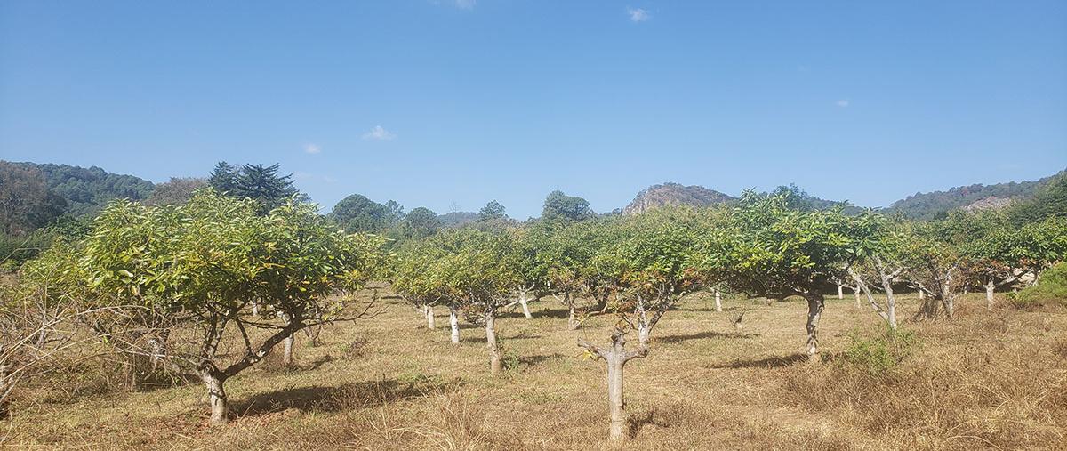 Foto de terreno habitacional en venta en  , godínez o tehuastepec, valle de bravo, méxico, 0 No. 04
