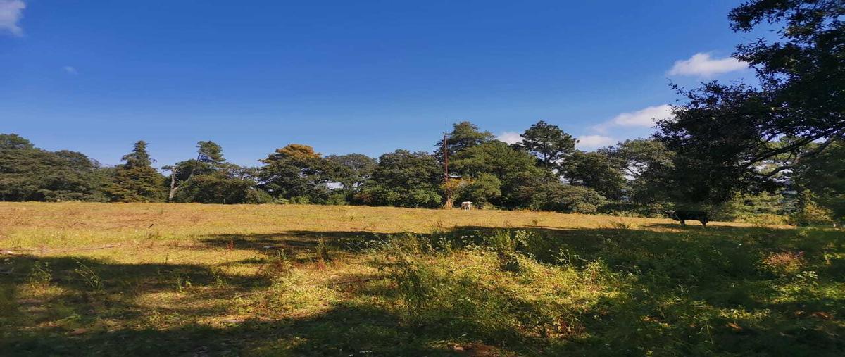 Foto de terreno habitacional en venta en  , godínez o tehuastepec, valle de bravo, méxico, 0 No. 03