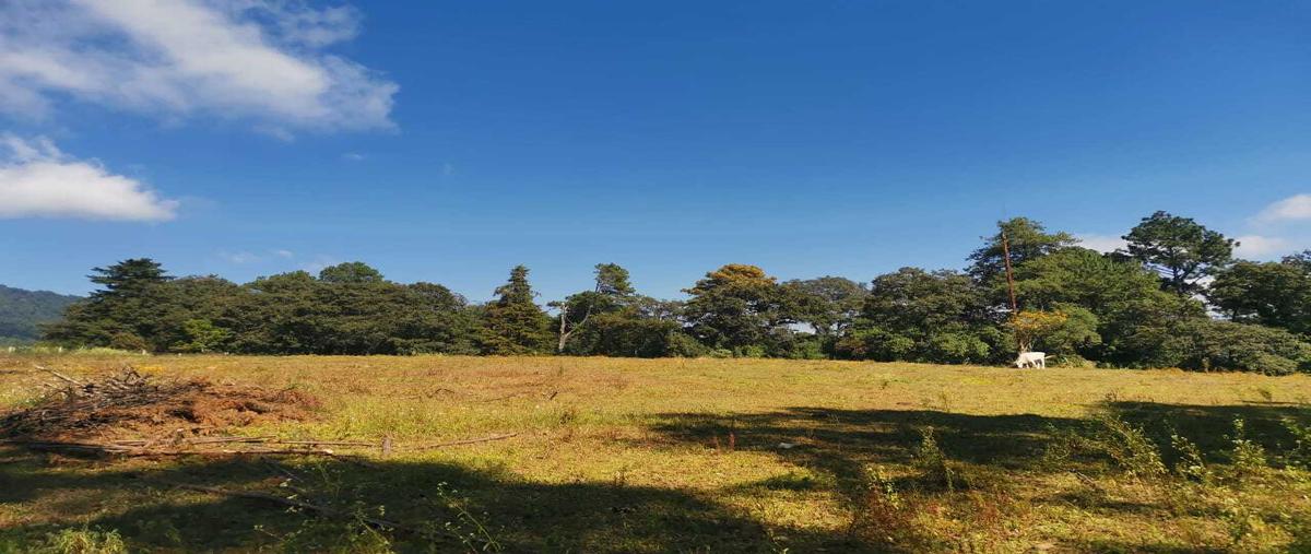 Foto de terreno habitacional en venta en  , godínez o tehuastepec, valle de bravo, méxico, 0 No. 04