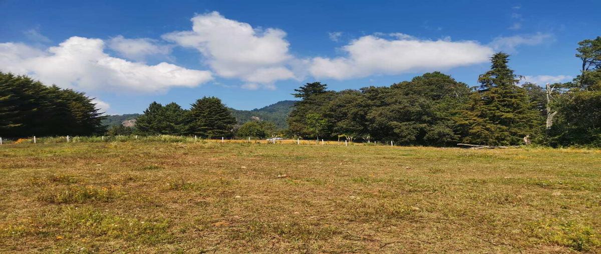 Foto de terreno habitacional en venta en  , godínez o tehuastepec, valle de bravo, méxico, 0 No. 05