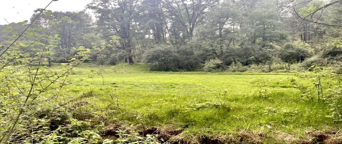 Foto de terreno habitacional en venta en  , godínez o tehuastepec, valle de bravo, méxico, 30394374 No. 04