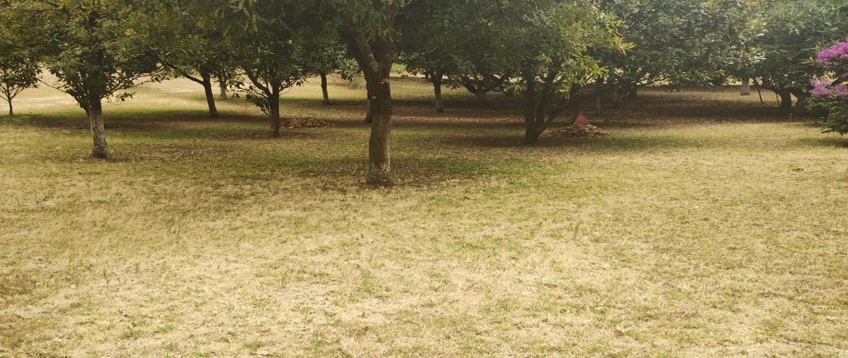 Foto de terreno habitacional en venta en  , godínez o tehuastepec, valle de bravo, méxico, 0 No. 03