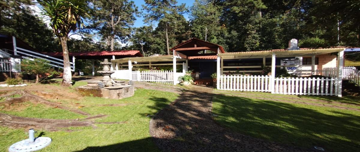 Foto de terreno habitacional en venta en  , godínez o tehuastepec, valle de bravo, méxico, 0 No. 05