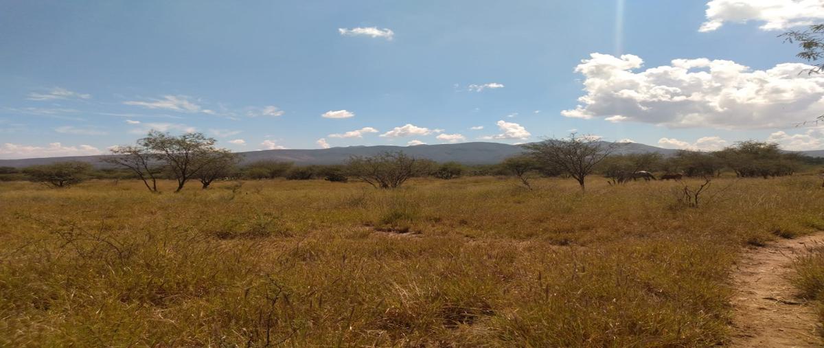 Foto de terreno habitacional en venta en  , gogorrón, villa de reyes, san luis potosí, 22611953 No. 05