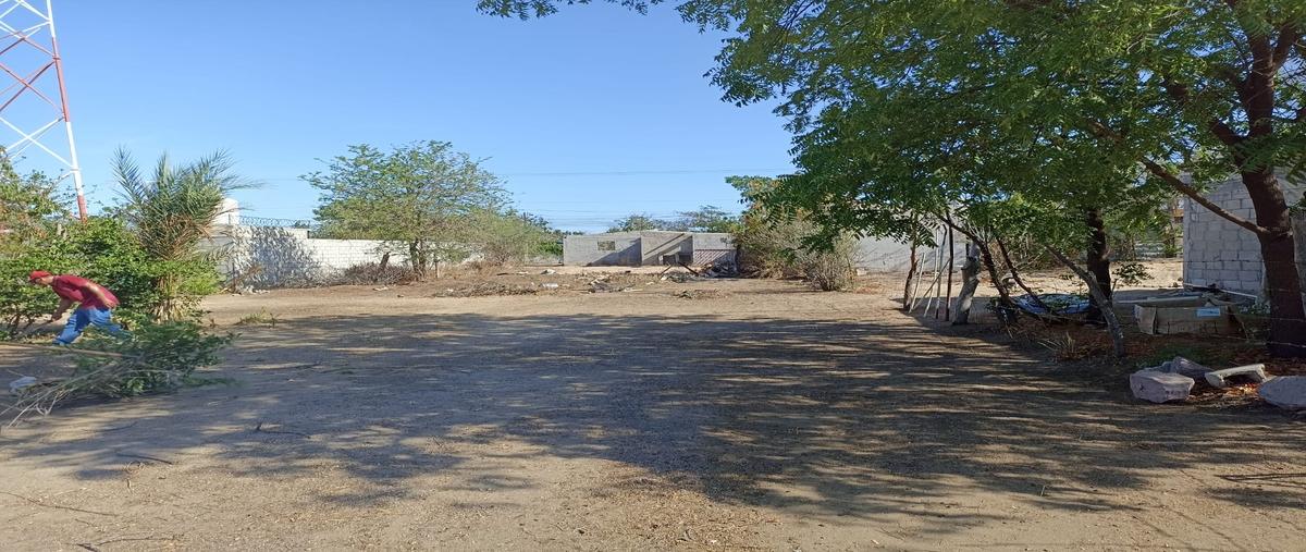 Foto de terreno habitacional en venta en gokio , calafia, la paz, baja california sur, 0 No. 01