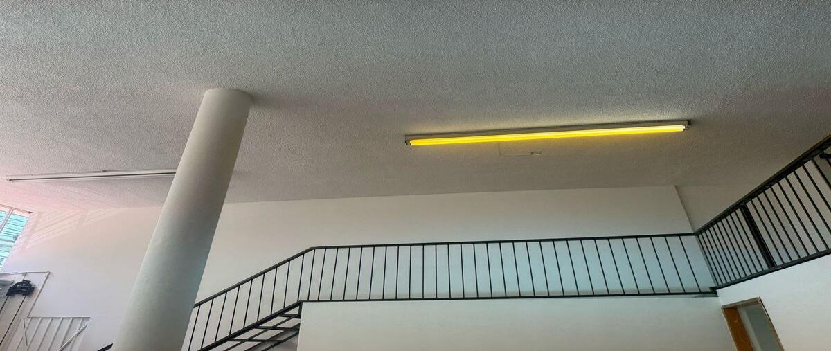 Foto de local en renta en golfo de gabes , tacuba, miguel hidalgo, df / cdmx, 29616122 No. 05