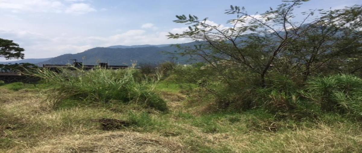 Foto de terreno comercial en venta en gomez farias enfrente campo azul, benito juárez, río blanco, veracruz de ignacio de la llave, 0 No. 03