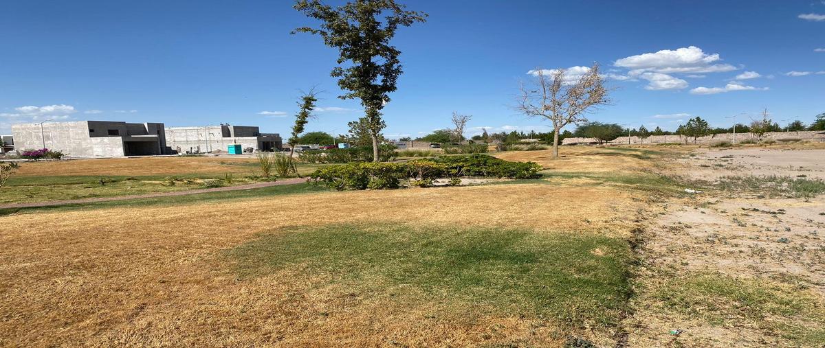 Foto de terreno habitacional en , gómez palacio centro, gómez palacio, durango, 0 foto 03 Foto de terreno habitacional en venta en , gómez palacio centro, gómez palacio, durango, 0 No. 03