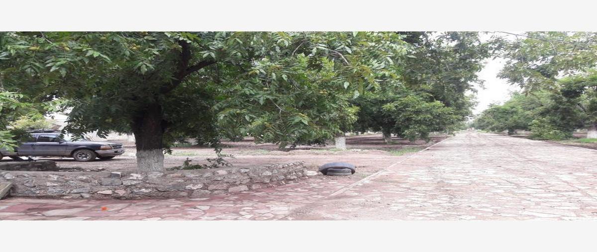 Foto de terreno habitacional en venta en  , gómez palacio centro, gómez palacio, durango, 31063072 No. 05