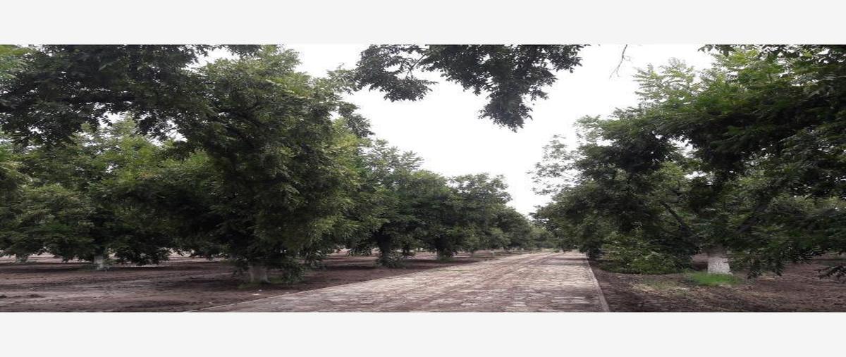 Foto de terreno habitacional en , gómez palacio centro, gómez palacio, durango, 31063075 foto 01 Foto de terreno habitacional en venta en , gómez palacio centro, gómez palacio, durango, 31063075 No. 01