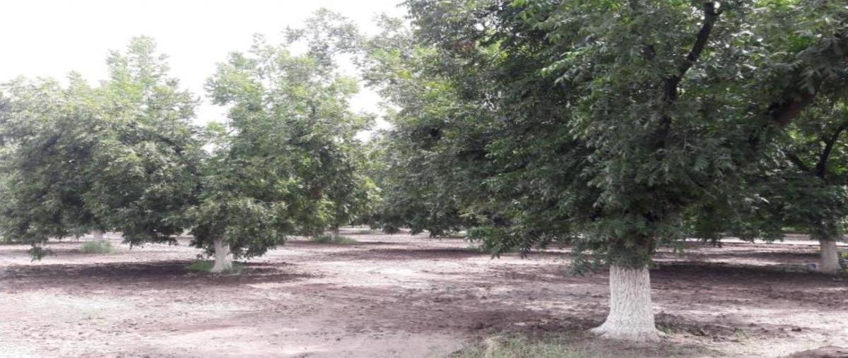 Foto de terreno habitacional en , gómez palacio centro, gómez palacio, durango, 31063075 foto 04 Foto de terreno habitacional en venta en , gómez palacio centro, gómez palacio, durango, 31063075 No. 04