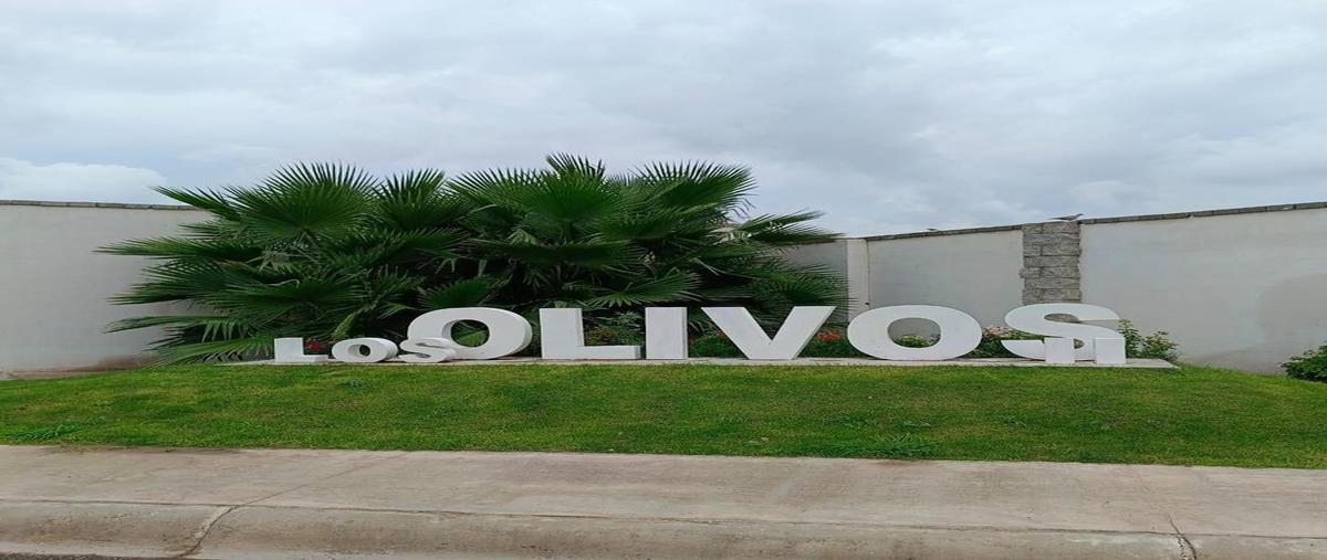 Foto de casa en venta en  , gómez palacio centro, gómez palacio, durango, 0 No. 04