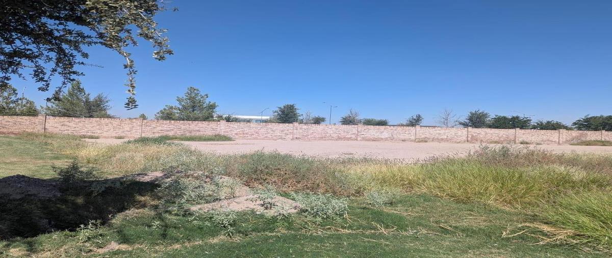 Foto de terreno habitacional en venta en  , gómez palacio centro, gómez palacio, durango, 0 No. 03