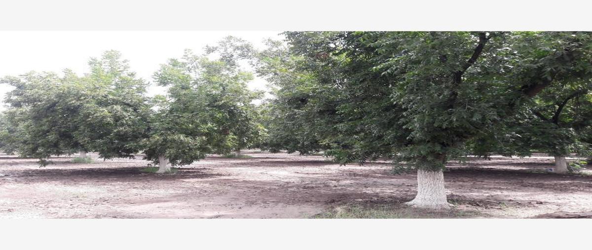 Foto de terreno habitacional en venta en  , gómez palacio centro, gómez palacio, durango, 31070214 No. 04