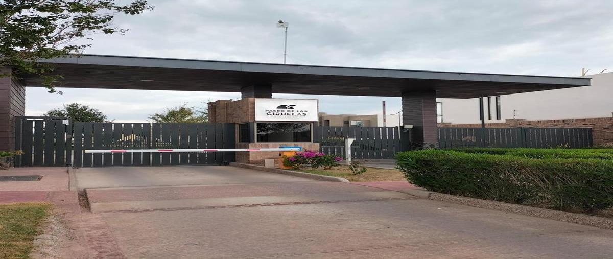 Foto de terreno habitacional en venta en  , gómez palacio centro, gómez palacio, durango, 31070218 No. 05