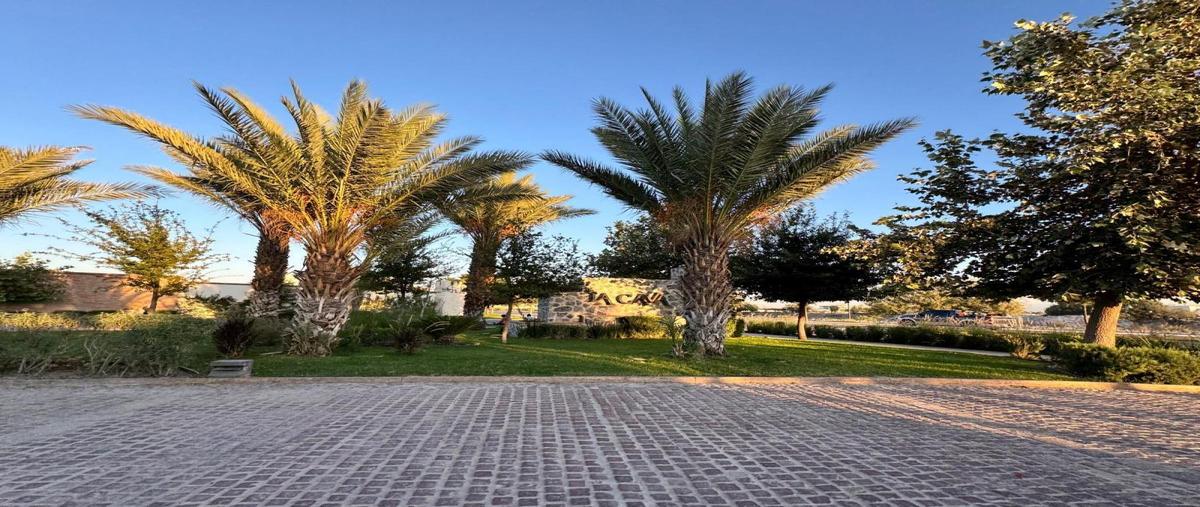 Foto de terreno habitacional en venta en  , gómez palacio centro, gómez palacio, durango, 31075911 No. 05