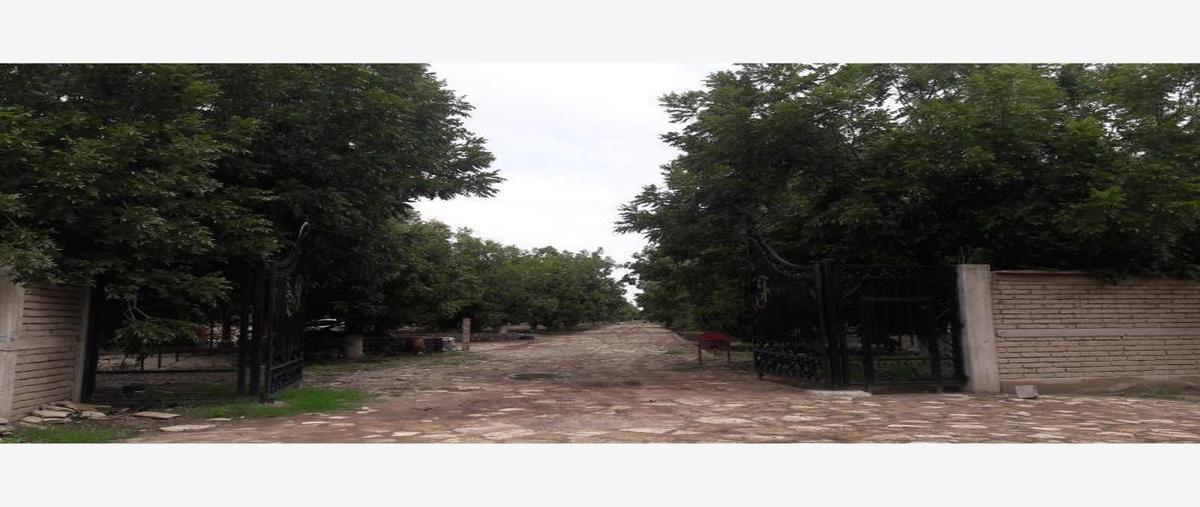 Foto de terreno habitacional en venta en  , gómez palacio centro, gómez palacio, durango, 31082447 No. 05