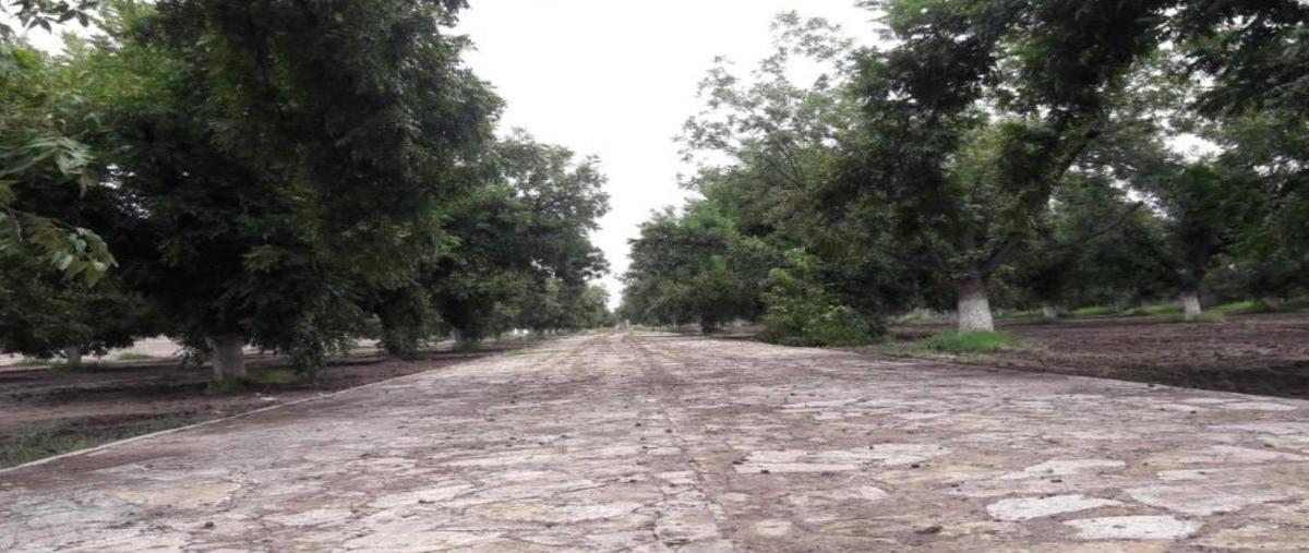 Foto de terreno habitacional en venta en  , gómez palacio centro, gómez palacio, durango, 0 No. 11