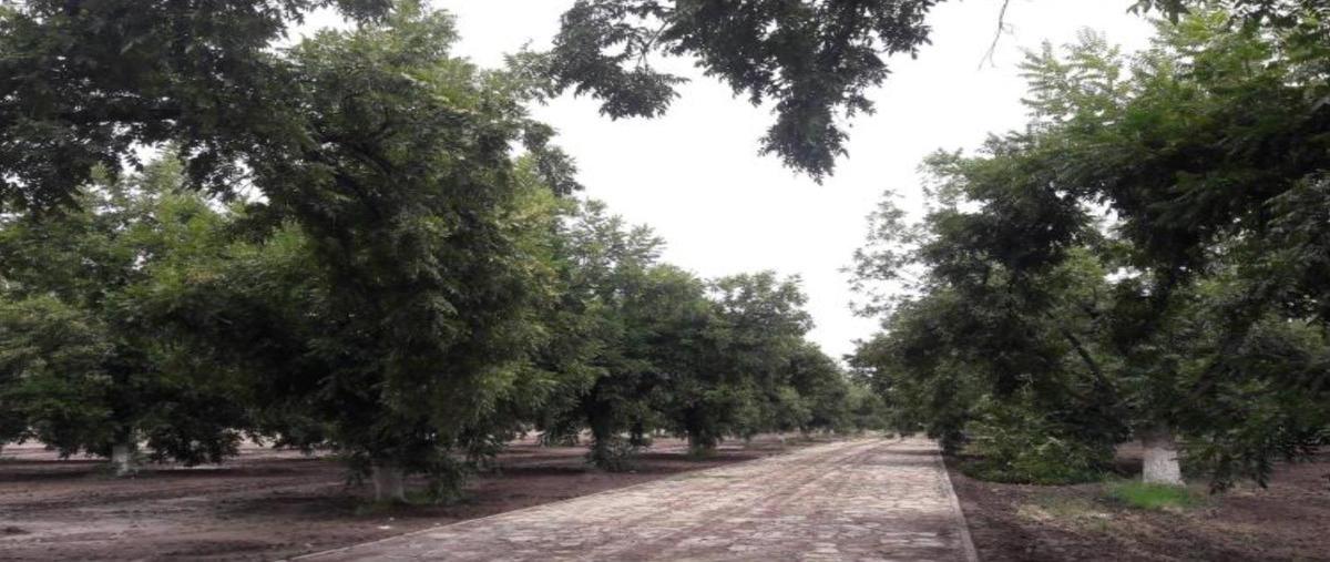 Foto de terreno habitacional en venta en  , gómez palacio centro, gómez palacio, durango, 0 No. 04