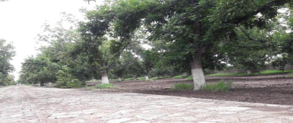 Foto de terreno habitacional en venta en  , gómez palacio centro, gómez palacio, durango, 0 No. 05