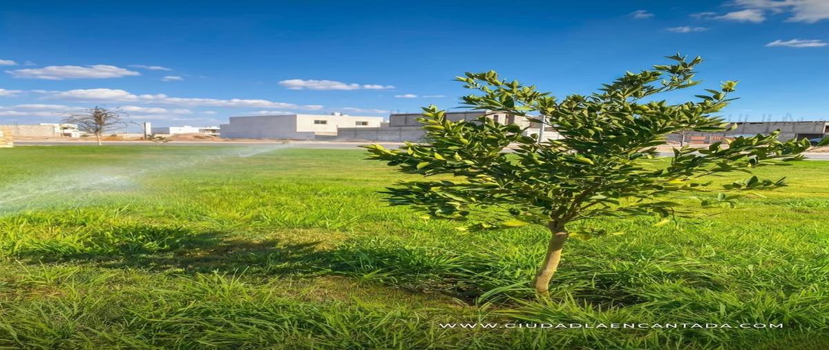 Foto de terreno habitacional en venta en  , gómez palacio centro, gómez palacio, durango, 31485793 No. 04