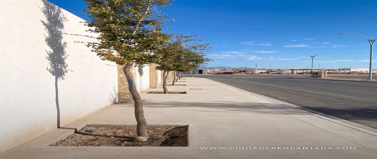Foto de terreno habitacional en venta en  , gómez palacio centro, gómez palacio, durango, 31485793 No. 05