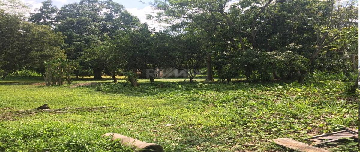 Foto de terreno habitacional en gonzalez 1a seccion , gonzalez 1a secc, centro, tabasco, 0 foto 02 Foto de terreno habitacional en venta en gonzalez 1a seccion , gonzalez 1a secc, centro, tabasco, 0 No. 02