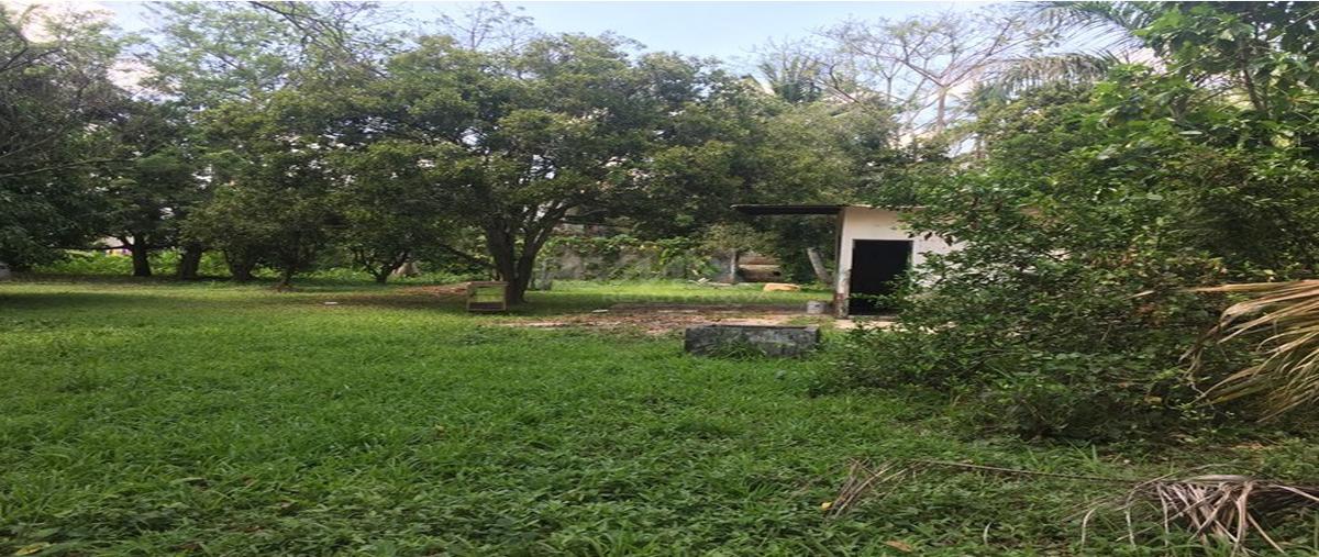 Foto de terreno habitacional en gonzalez 1a seccion , gonzalez 1a secc, centro, tabasco, 0 foto 05 Foto de terreno habitacional en venta en gonzalez 1a seccion , gonzalez 1a secc, centro, tabasco, 0 No. 05