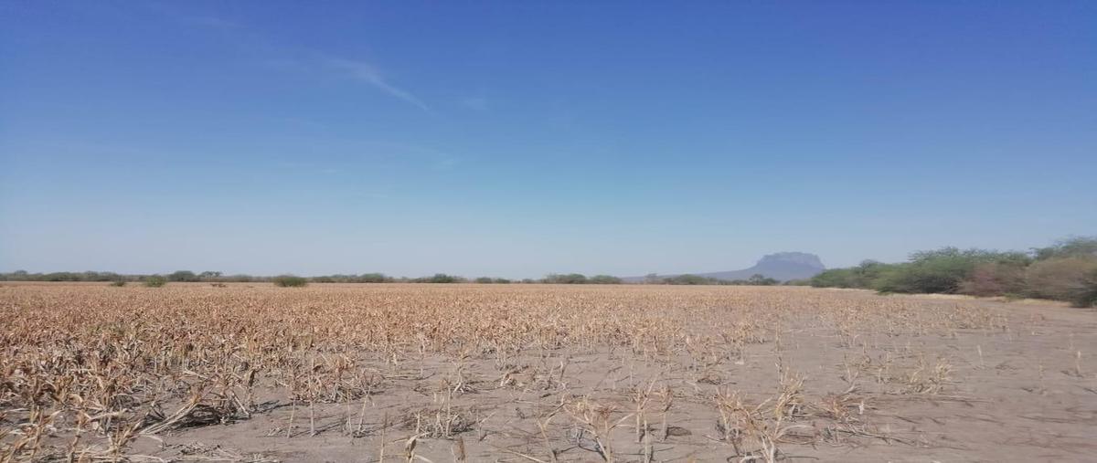 Foto de rancho en venta en  , gonzalez, gonzález, tamaulipas, 12229436 No. 03