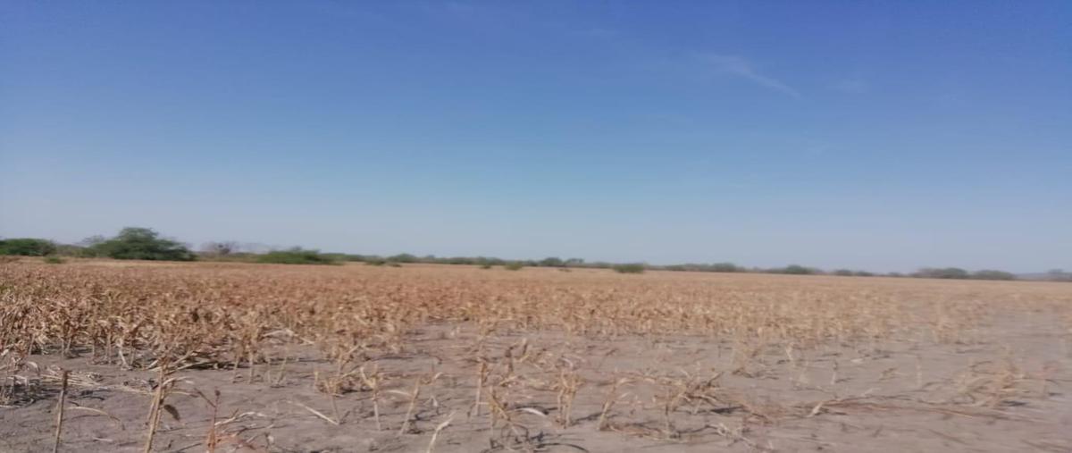 Foto de rancho en venta en  , gonzalez, gonzález, tamaulipas, 12229436 No. 04