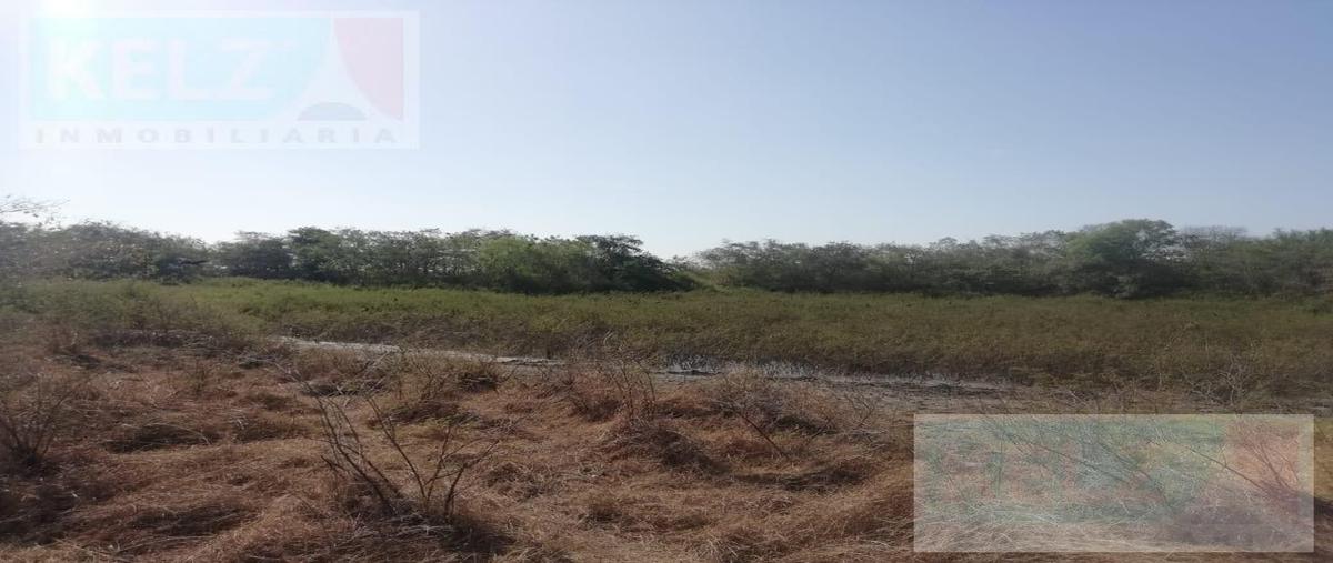 Foto de terreno habitacional en venta en  , gonzalez, gonzález, tamaulipas, 20939398 No. 03