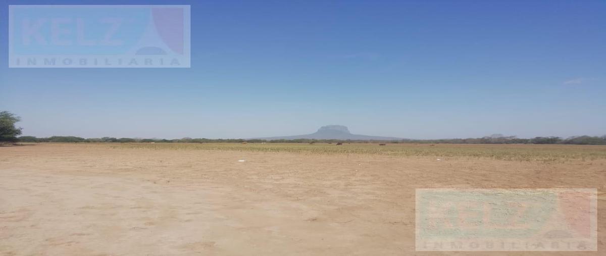 Foto de terreno habitacional en venta en  , gonzalez, gonzález, tamaulipas, 20939398 No. 04