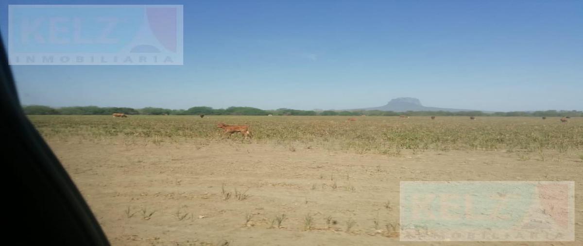 Foto de terreno habitacional en venta en  , gonzalez, gonzález, tamaulipas, 20939398 No. 05